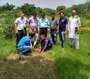 Plantation_2017