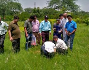 Plantation_2017