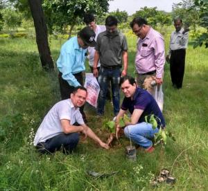 Plantation_2017